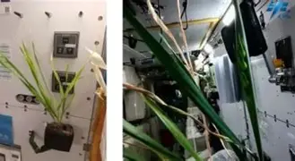 字母哥至今英超出牌最多引热议(字母哥承认可能离队!是否续约取决于雄鹿运作) 字母哥至今英超出牌最多引热议(字母哥承认可能离队!是否续约取决于雄鹿运作)